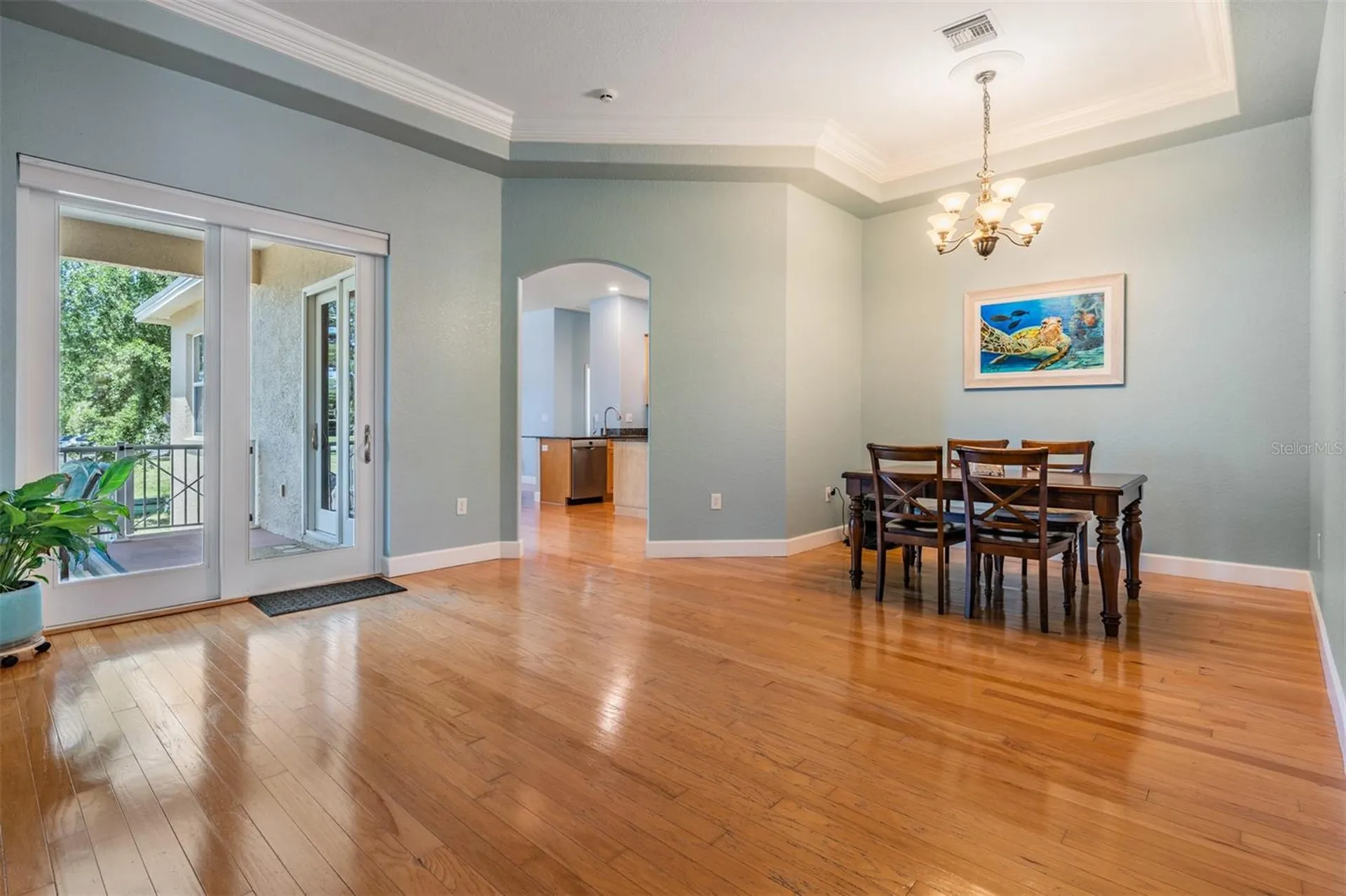2008 N Pointe Alexis Drive Tarpon Springs FL 34689