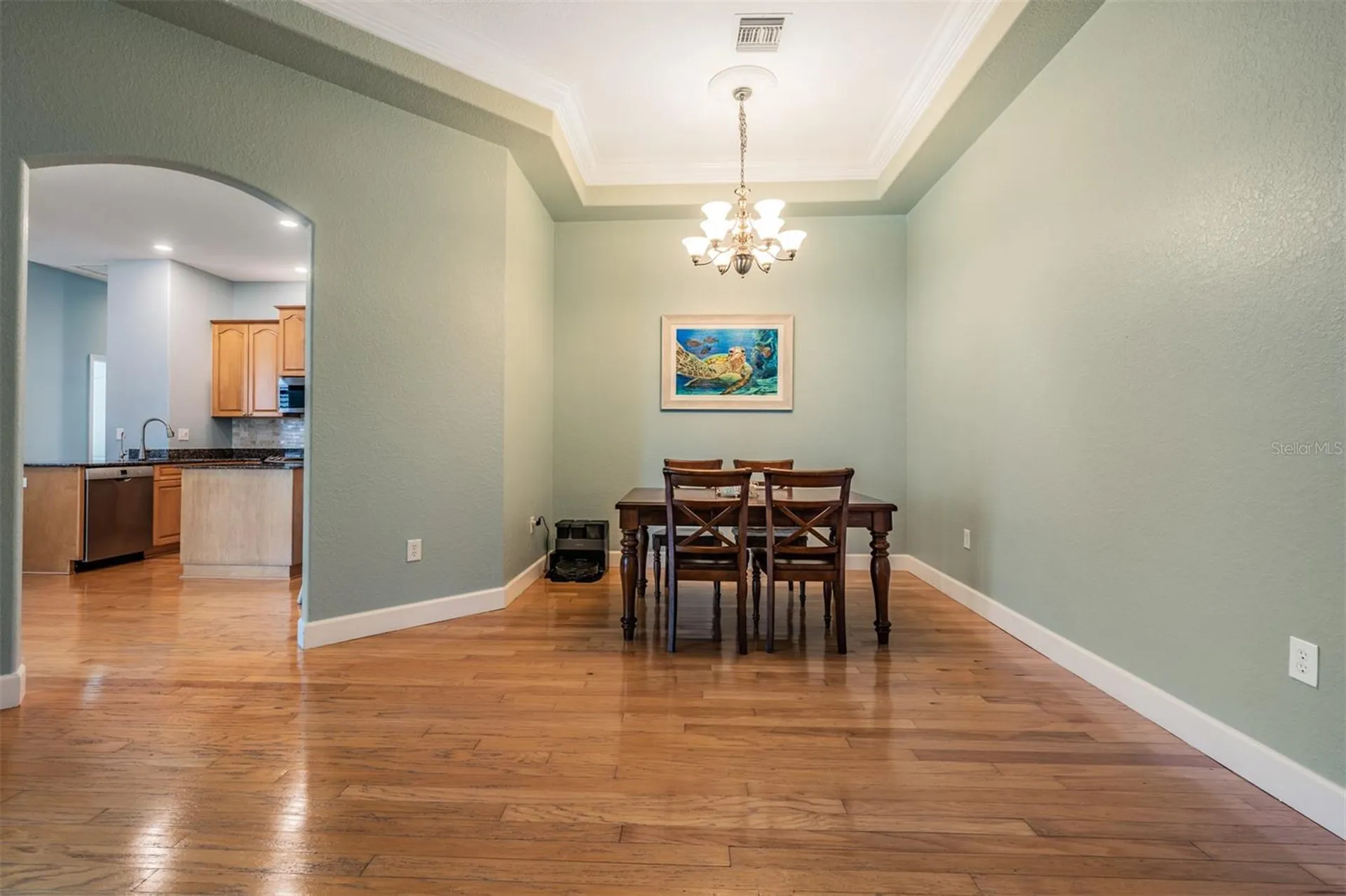 2008 N Pointe Alexis Drive Tarpon Springs FL 34689