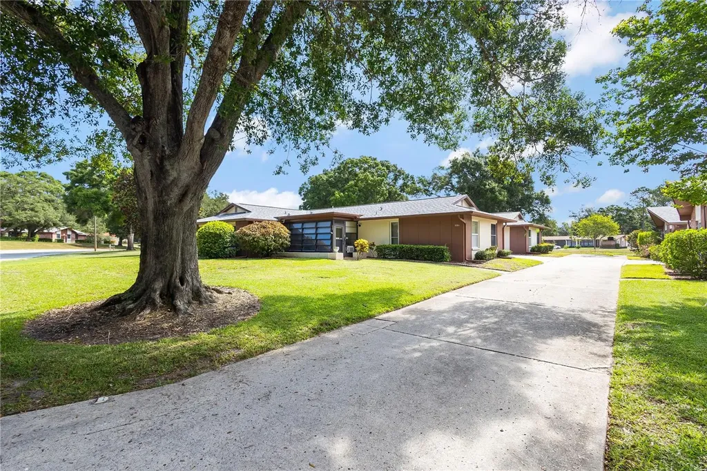 2261 Shelly Drive Palm Harbor FL 34684