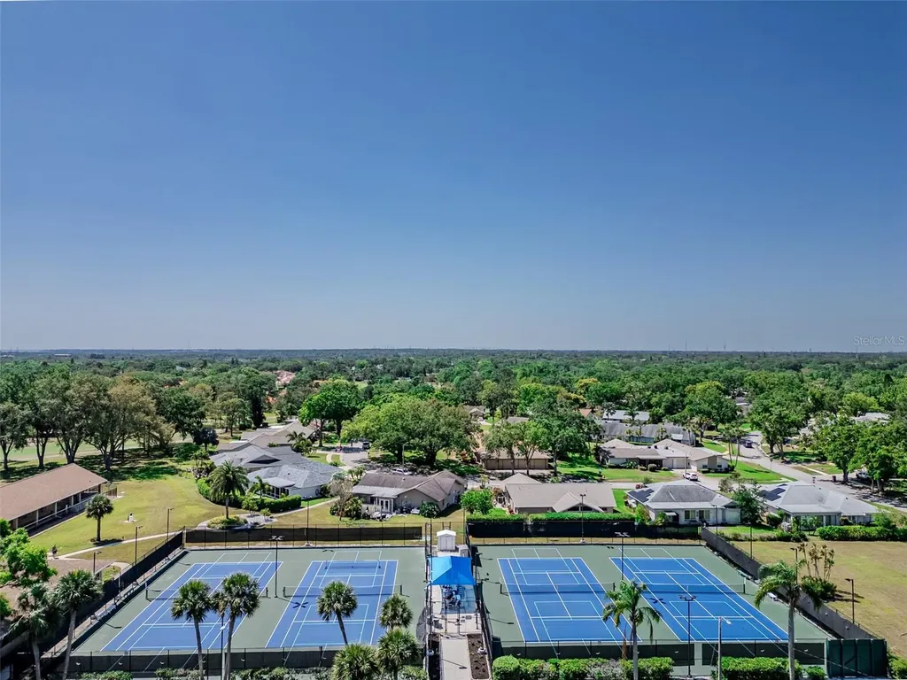2261 Shelly Drive Palm Harbor FL 34684