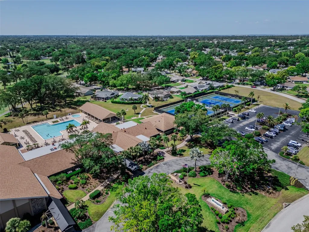 2261 Shelly Drive Palm Harbor FL 34684