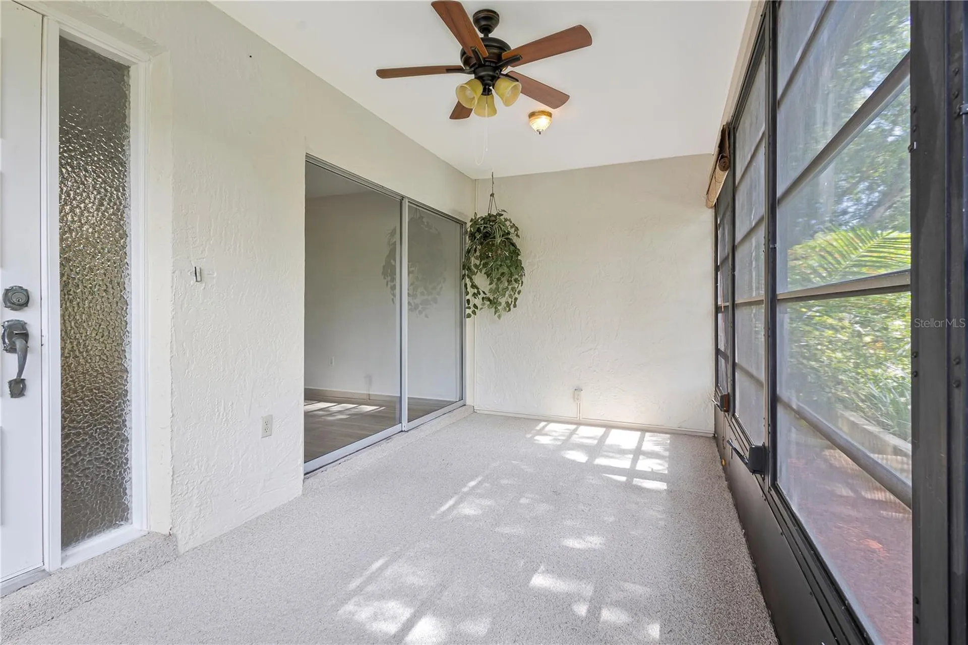 2261 Shelly Drive Palm Harbor FL 34684