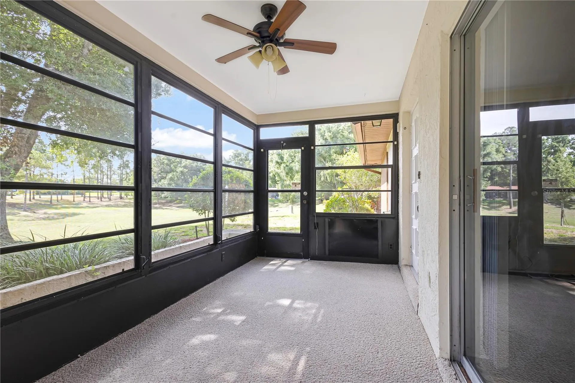 2261 Shelly Drive Palm Harbor FL 34684
