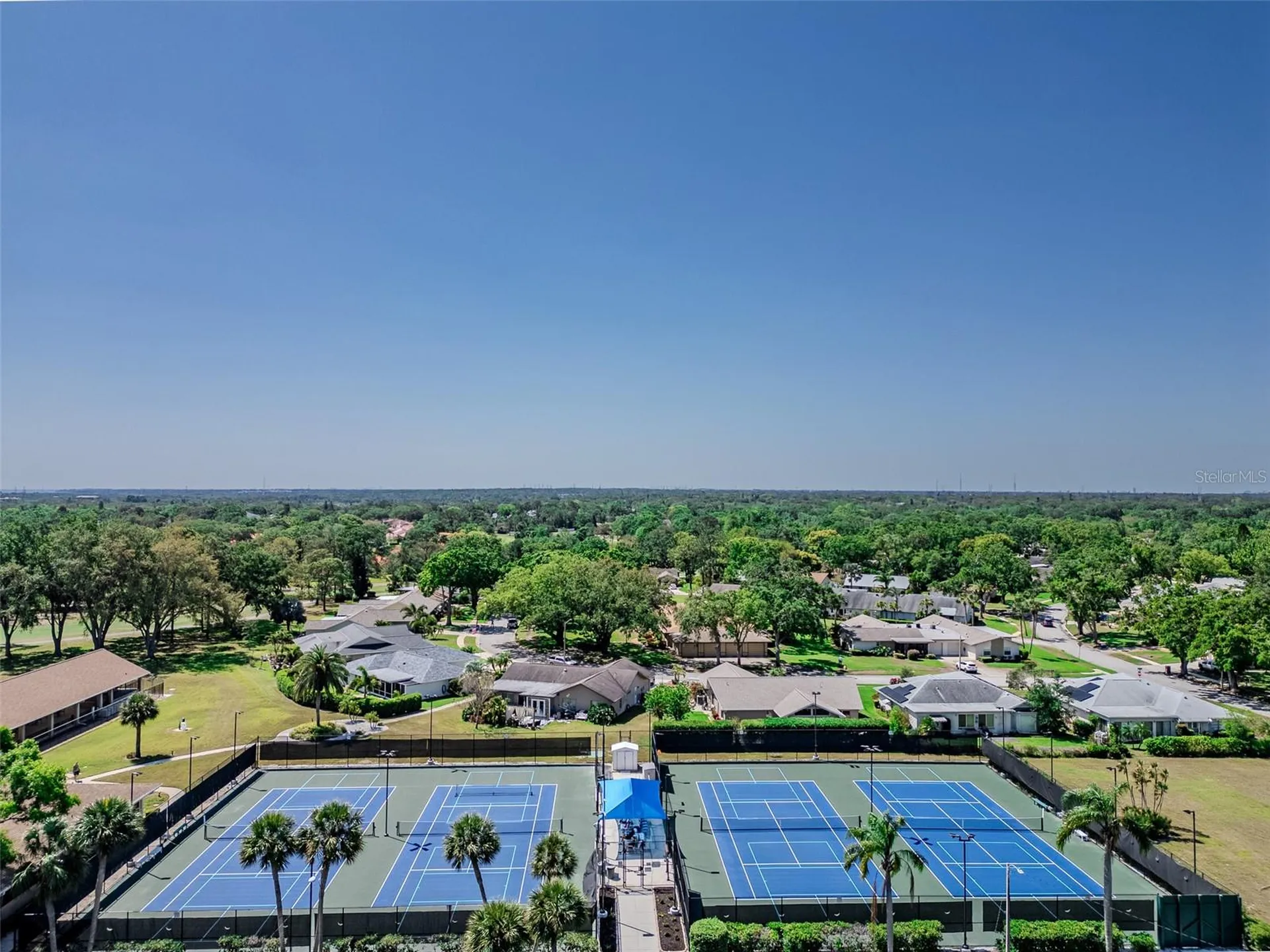 2261 Shelly Drive Palm Harbor FL 34684