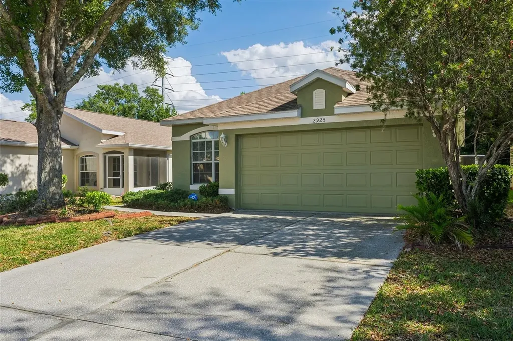 2925 Banyan Hill Lane Land O Lakes FL 34639