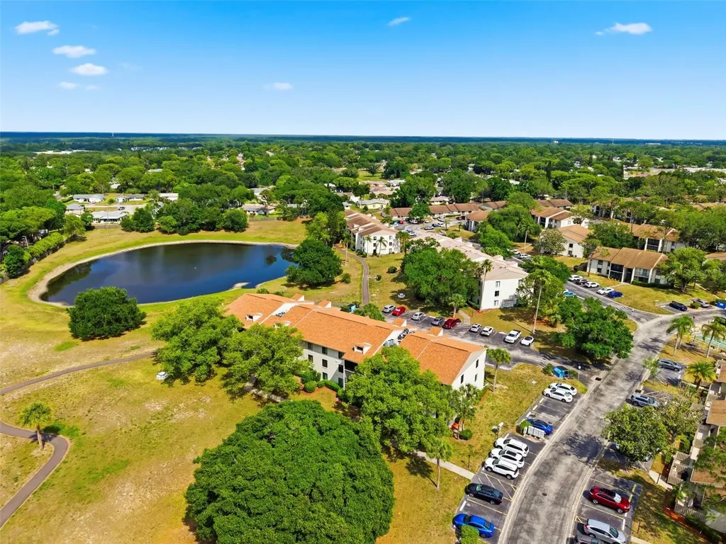 1871 Pine Ridge Way W Palm Harbor FL 34684