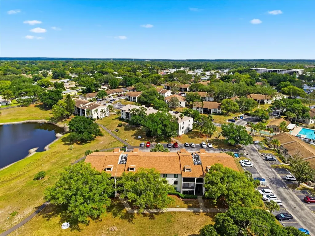 1871 Pine Ridge Way W Palm Harbor FL 34684