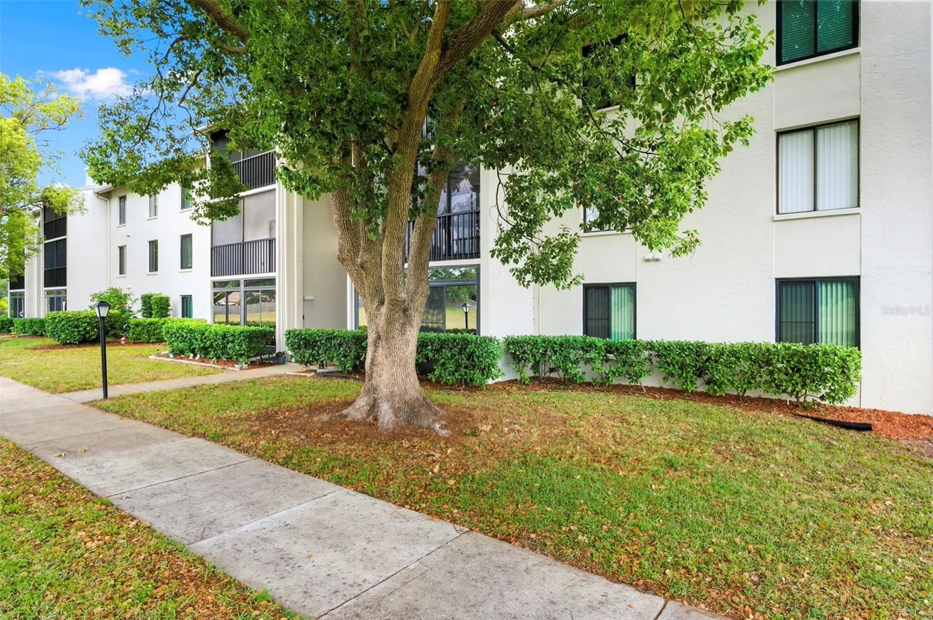 1871 Pine Ridge Way W Palm Harbor FL 34684
