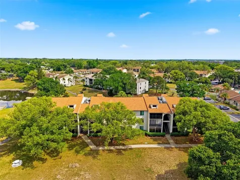 1871 Pine Ridge Way W Palm Harbor FL 34684