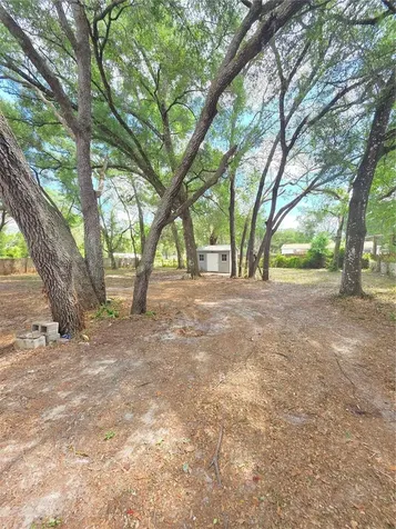 34934 Punch Road Dade City FL 33523