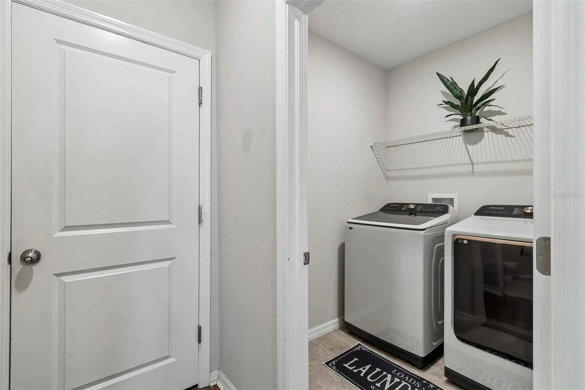 7422 French Marigold Avenue Tampa FL 33619