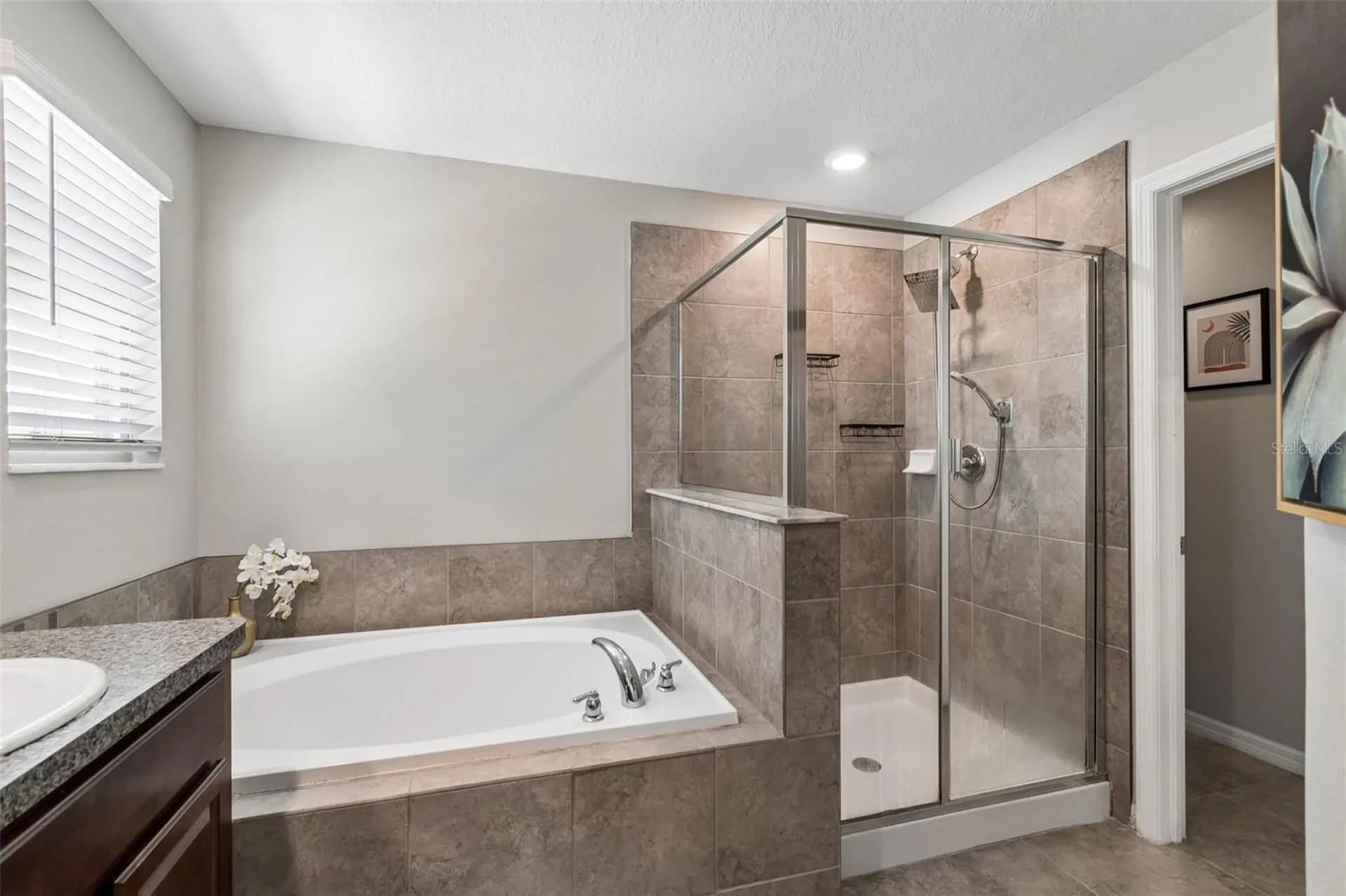 7422 French Marigold Avenue Tampa FL 33619