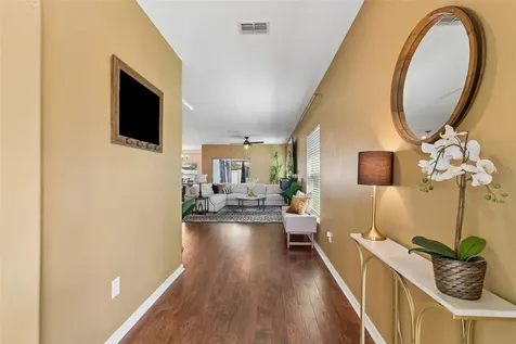 7422 French Marigold Avenue Tampa FL 33619