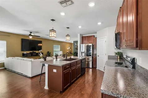 7422 French Marigold Avenue Tampa FL 33619