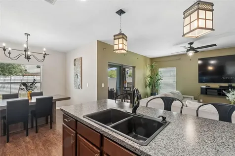 7422 French Marigold Avenue Tampa FL 33619