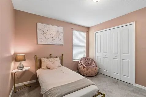 7422 French Marigold Avenue Tampa FL 33619
