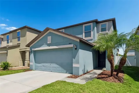 7422 French Marigold Avenue Tampa FL 33619