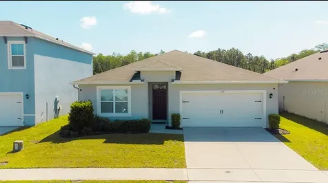 1315 Fox Squirrel Drive Davenport FL 33897