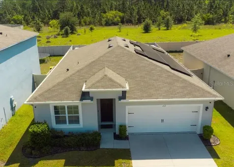 1315 Fox Squirrel Drive Davenport FL 33897