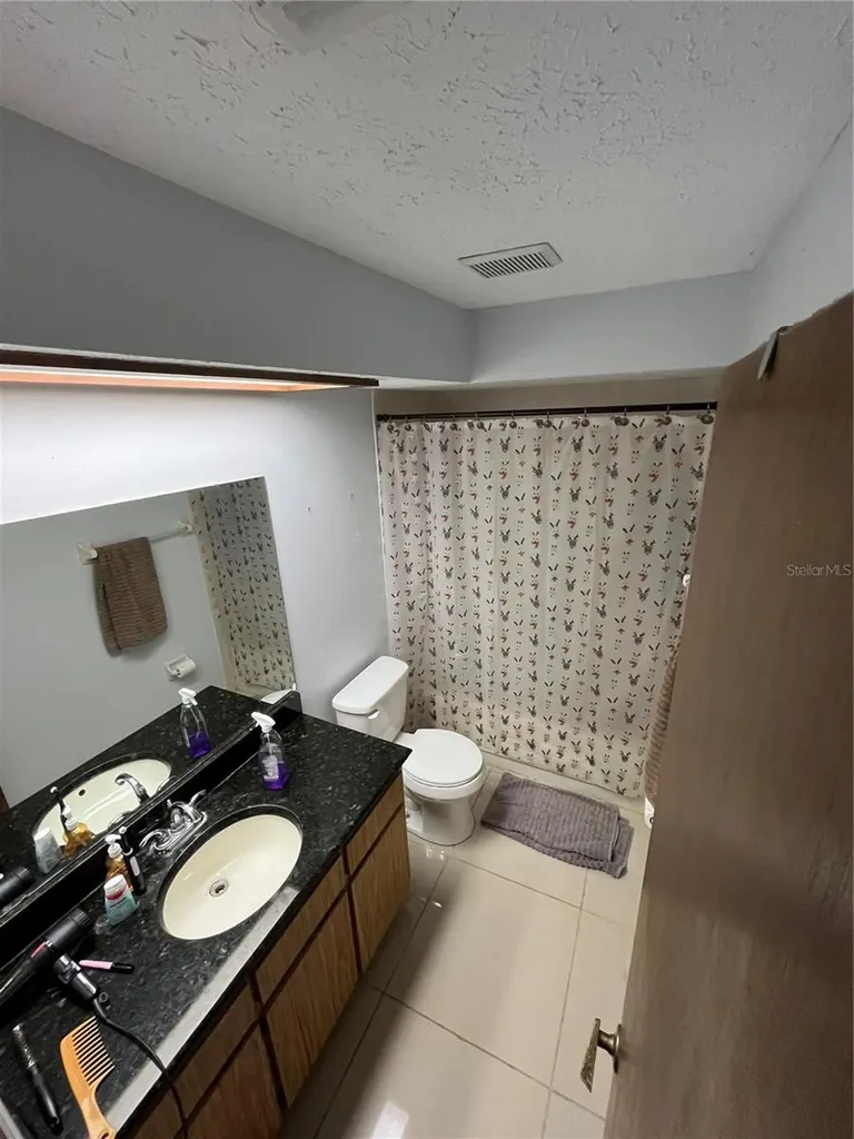 2376 Windsor Oaks Avenue Lutz FL 33549