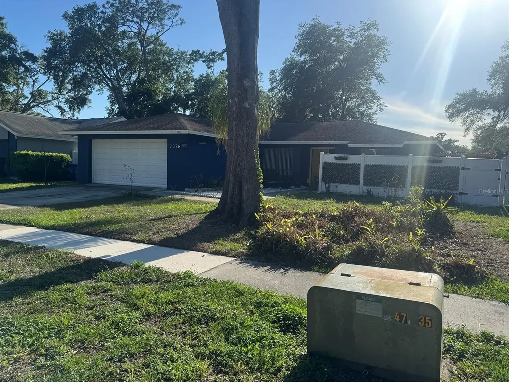2376 Windsor Oaks Avenue Lutz FL 33549