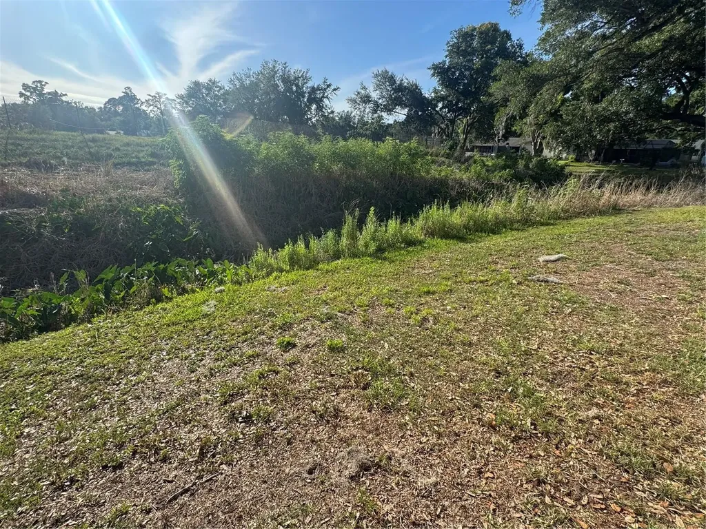 2376 Windsor Oaks Avenue Lutz FL 33549