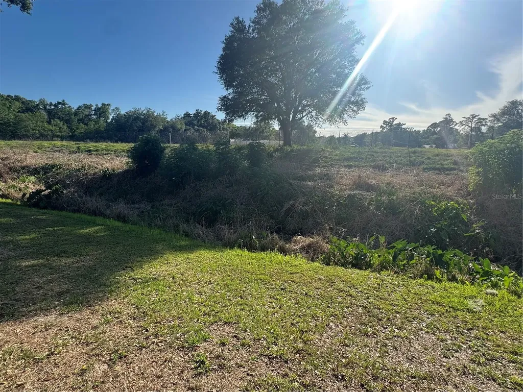 2376 Windsor Oaks Avenue Lutz FL 33549