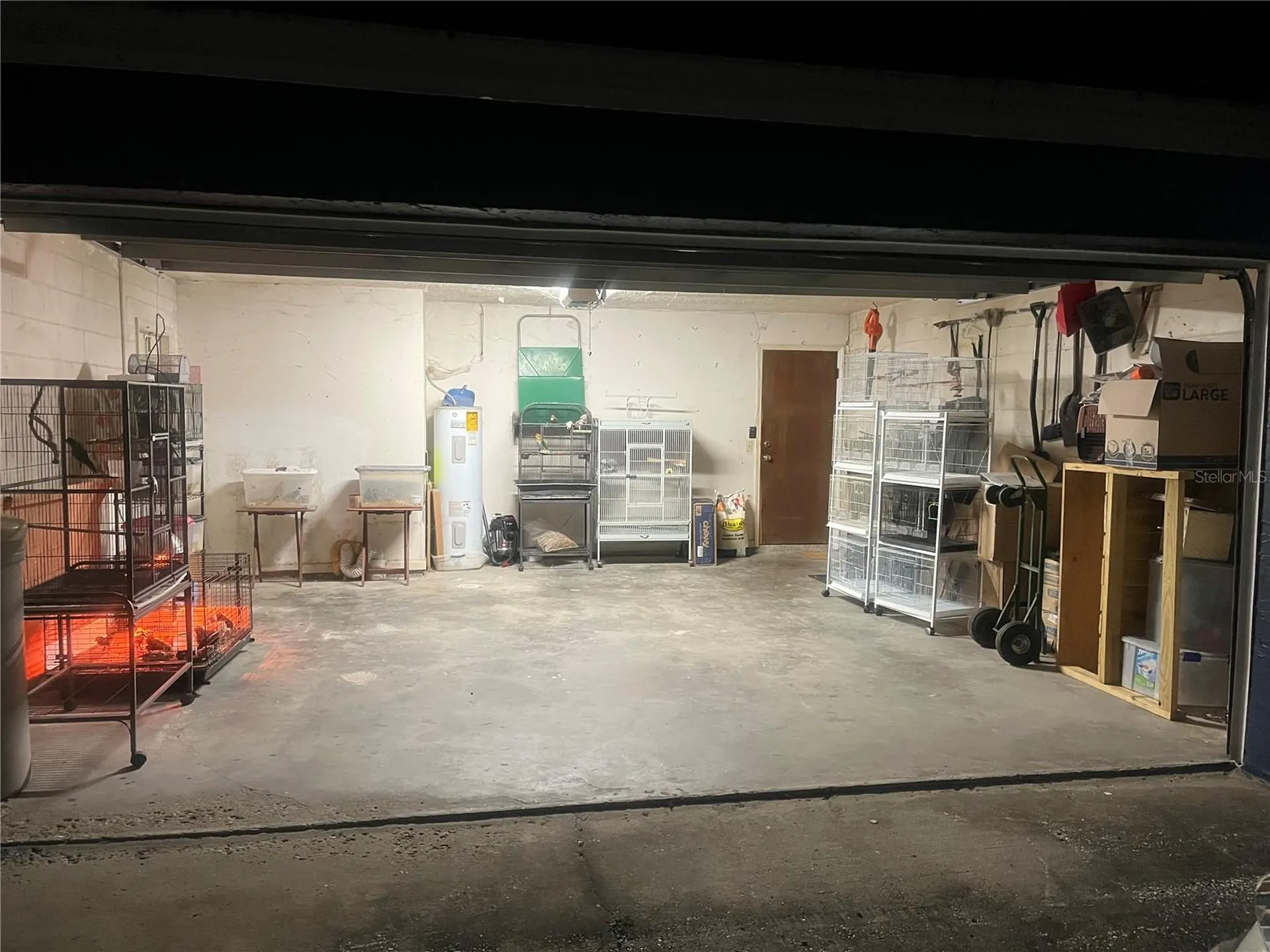 2376 Windsor Oaks Avenue Lutz FL 33549