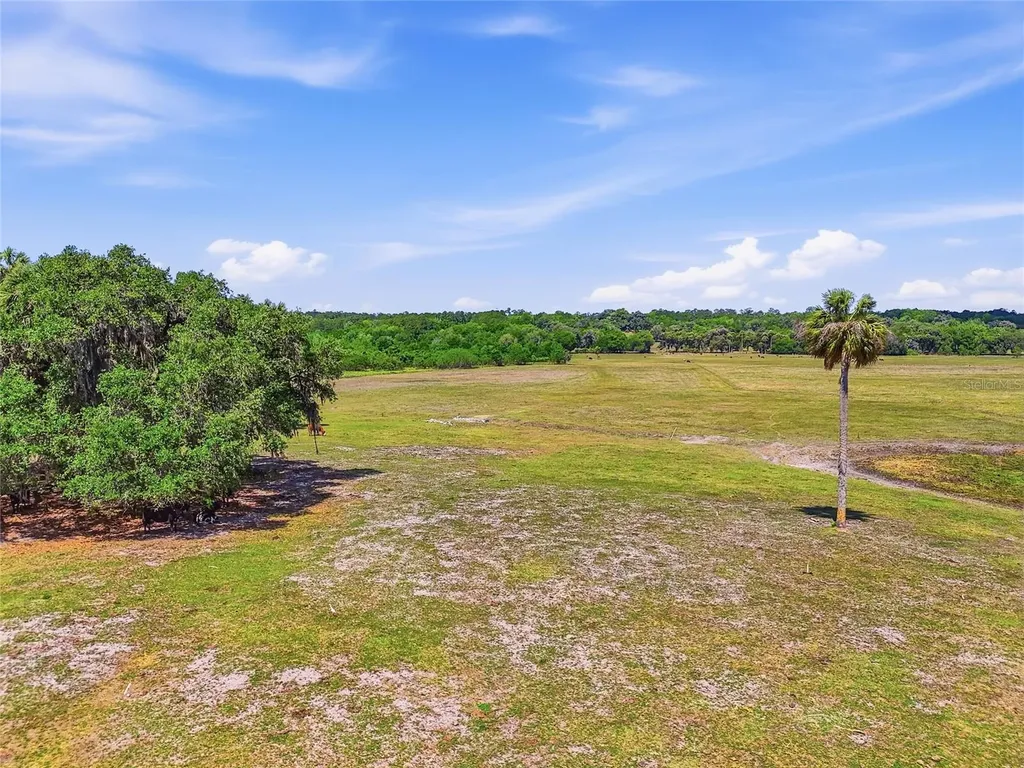 22130 NW 75th Avenue Road Micanopy FL 32667
