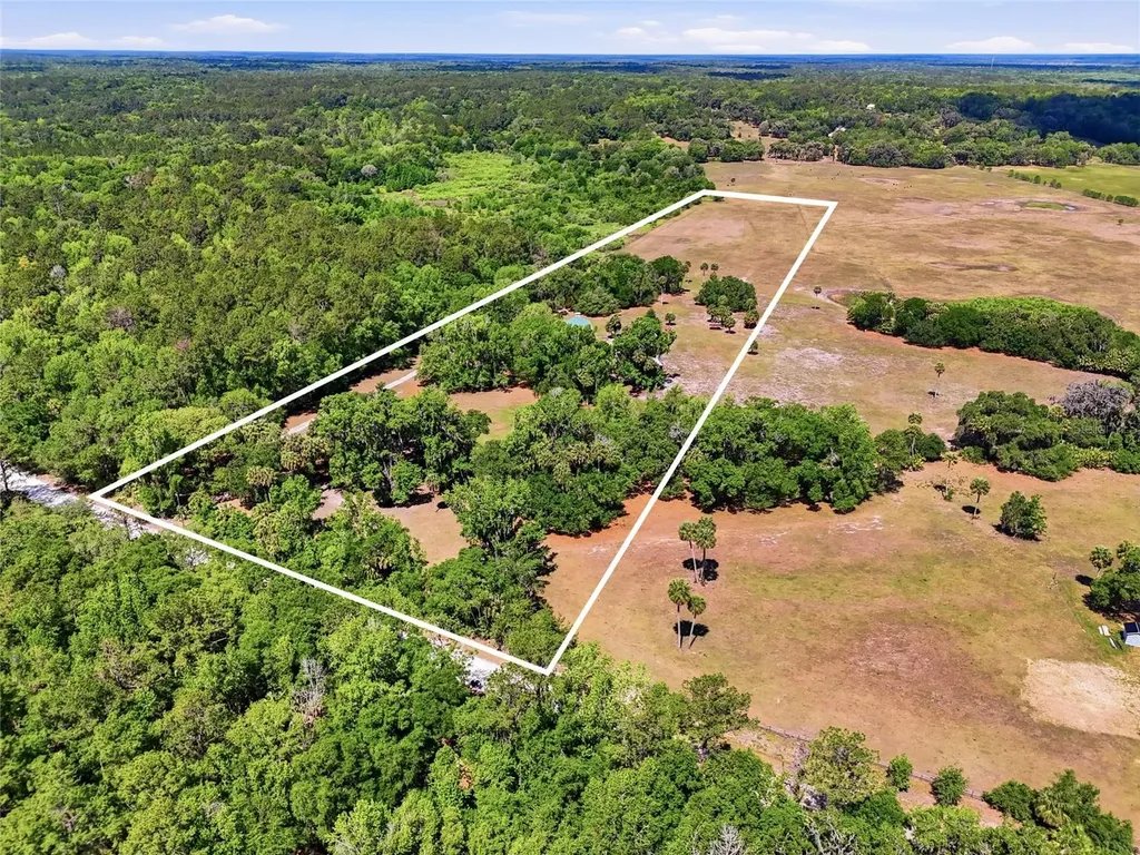 22130 NW 75th Avenue Road Micanopy FL 32667