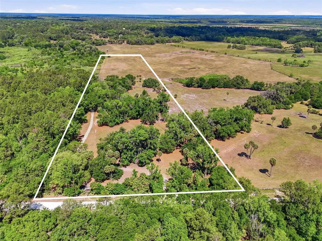 22130 NW 75th Avenue Road Micanopy FL 32667