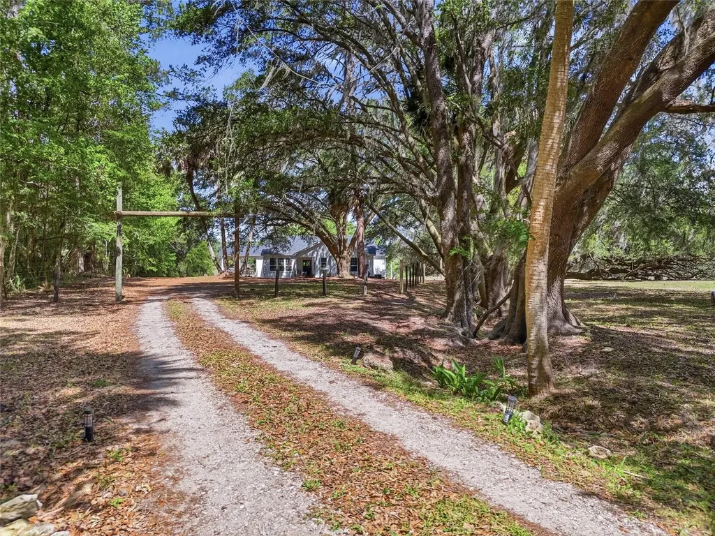 22130 NW 75th Avenue Road Micanopy FL 32667