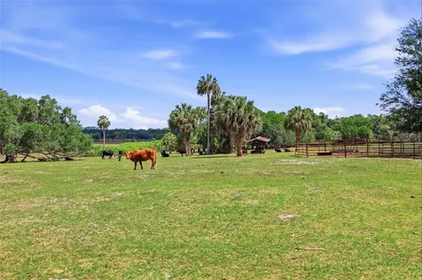 22130 NW 75th Avenue Road Micanopy FL 32667