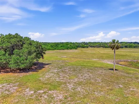22130 NW 75th Avenue Road Micanopy FL 32667