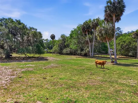 22130 NW 75th Avenue Road Micanopy FL 32667