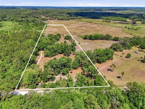 22130 NW 75th Avenue Road Micanopy FL 32667