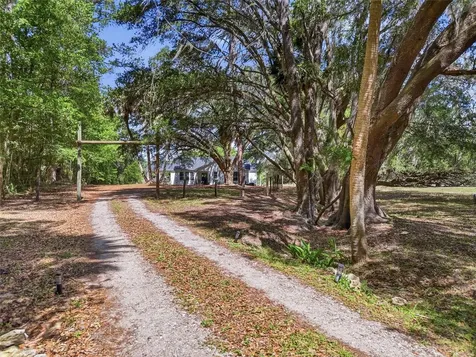 22130 NW 75th Avenue Road Micanopy FL 32667