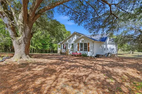 22130 NW 75th Avenue Road Micanopy FL 32667