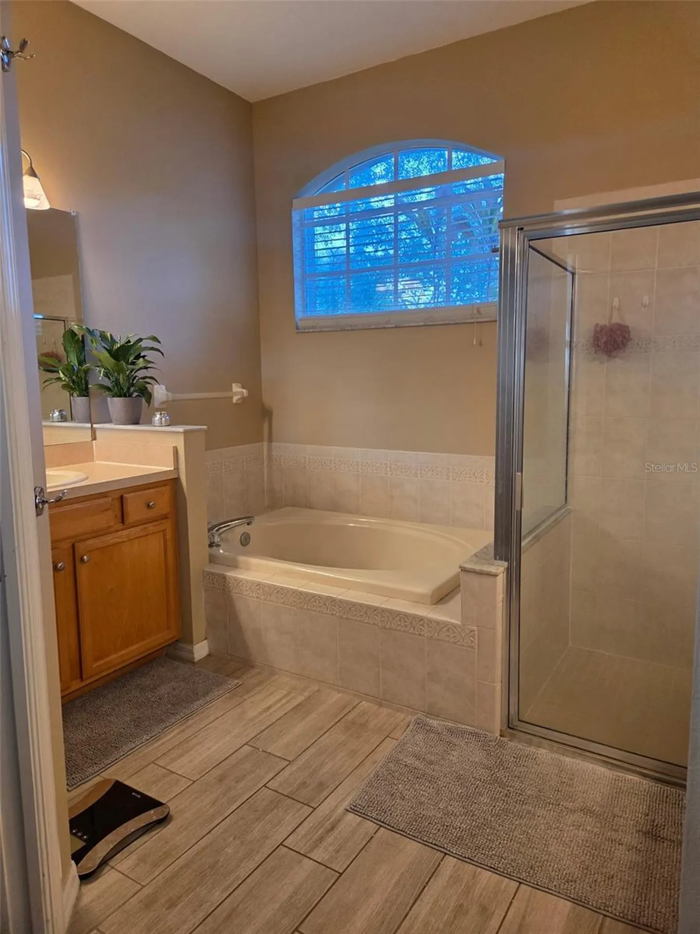 2866 Duncan Tree Circle Valrico FL 33594