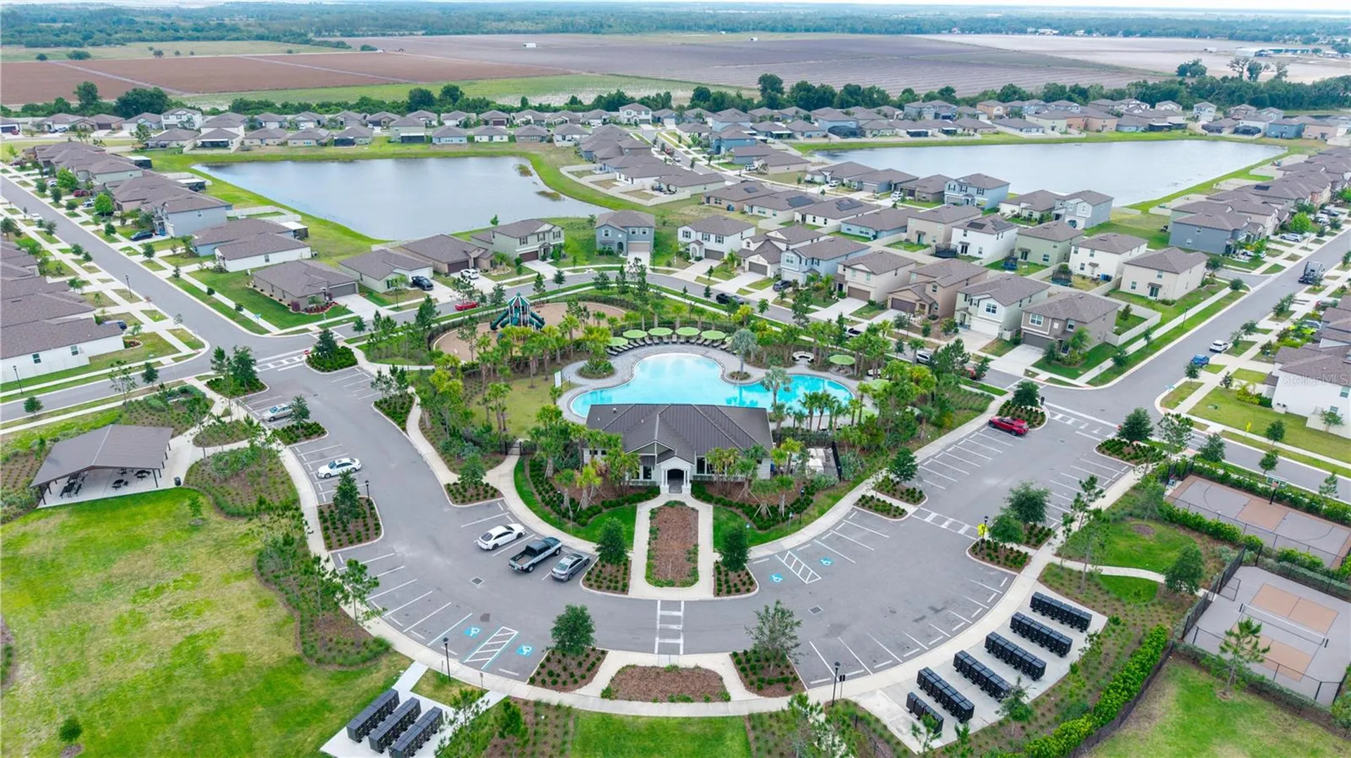 2880 Gumbo Limbo Drive Wimauma FL 33598