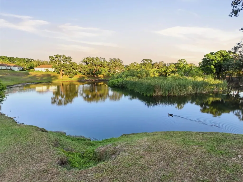 11430 Carriage Hill Drive Port Richey FL 34668