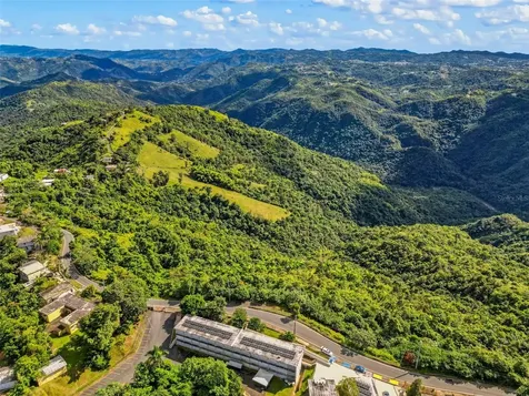 Carr 156 Km 20.1 Interior Bo Honduras Barranquitas PR 00794
