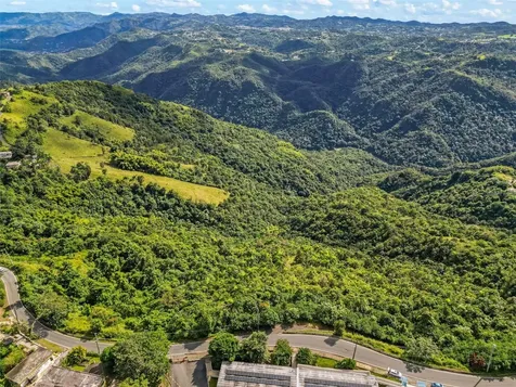 Carr 156 Km 20.1 Interior Bo Honduras Barranquitas PR 00794