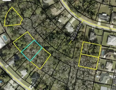 Xxx Z Section Drop Lot Palm Coast FL 32137