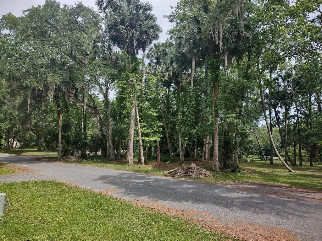 56508 Blue Creek Road Astor FL 32102