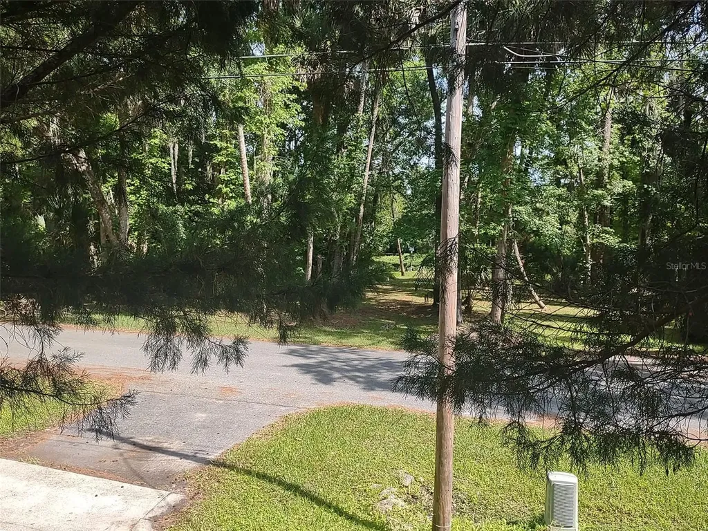56508 Blue Creek Road Astor FL 32102