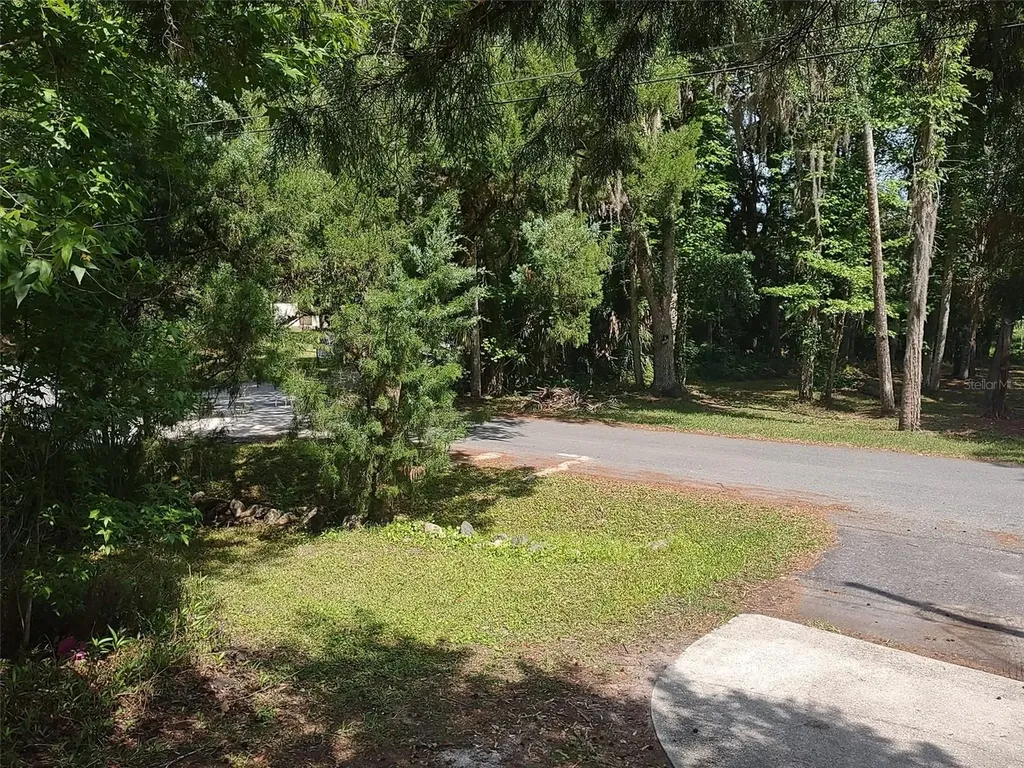 56508 Blue Creek Road Astor FL 32102