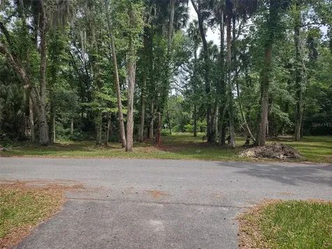 56508 Blue Creek Road Astor FL 32102