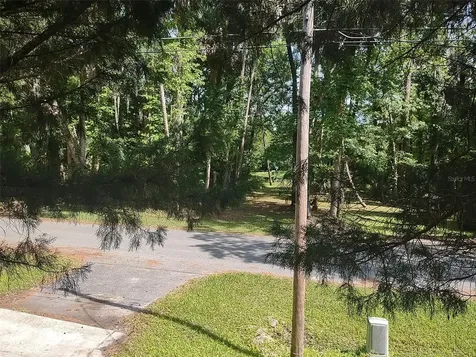 56508 Blue Creek Road Astor FL 32102