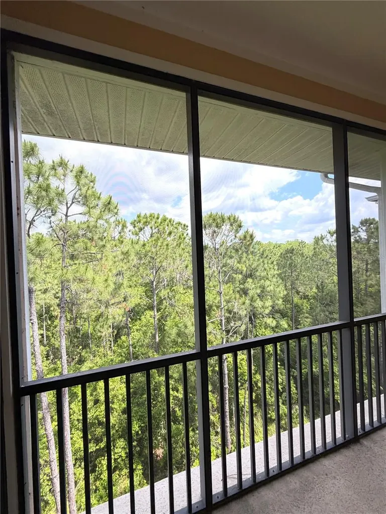 3060 Pirates Retreat Court Kissimmee FL 34747